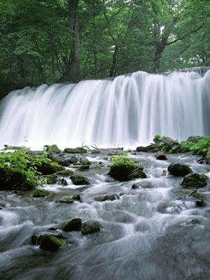 【最新】効果的なWEBサイト改善のポイントと実践ガイド