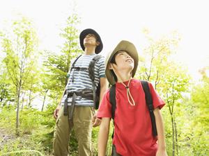 沖縄県石垣島で快適な滞在を実現！東横INN石垣島の魅力と詳細ガイド