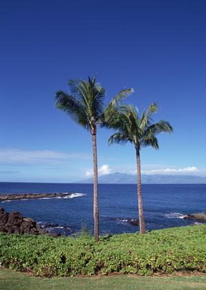 東横INN上野田原町駅：東京台東区にある快適なビジネスホテルの魅力と詳細情報