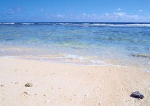 【公式】東横INN徳島駅前｜徳島市の便利なビジネスホテルで快適な宿泊体験を提供