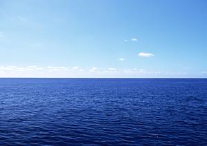 東横イン京都二条城南：快適な宿泊体験とアクセス良好なビジネスホテルのご紹介