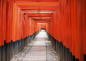 住友不動産ヴィラフォンテーヌ羽田空港：空港直結のラグジュアリーな宿泊体験と多彩なサービス