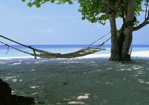 便利な立地と快適なサービスを提供する東横INN和光市駅前：埼玉県和光市のビジネスホテル