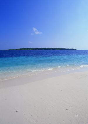 【公式情報から解説】東横INN大和駅前｜神奈川県大和市の快適ビジネスホテルの魅力と利用ポイント