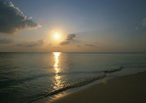 長野駅から徒歩4分！快適で便利な東横INN長野駅東口の魅力と詳細情報