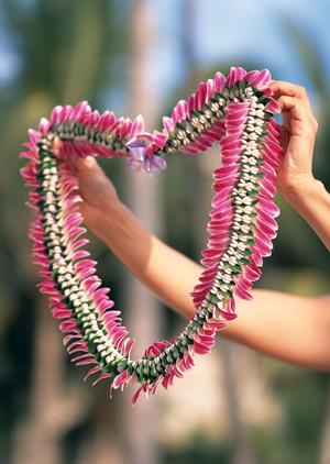 札幌すすきのに位置する快適なビジネスホテル：東横INN札幌すすきの交差点の全情報と魅力