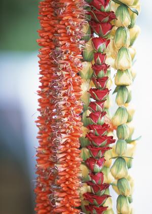 横浜市新横浜エリアの至便なビジネスホテル：東横INN新横浜駅前新館の魅力と詳細情報