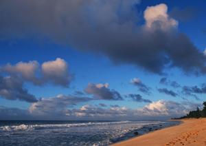 韓国・ソウルのビジネス旅行に最適！東横INN江南の魅力と詳細情報